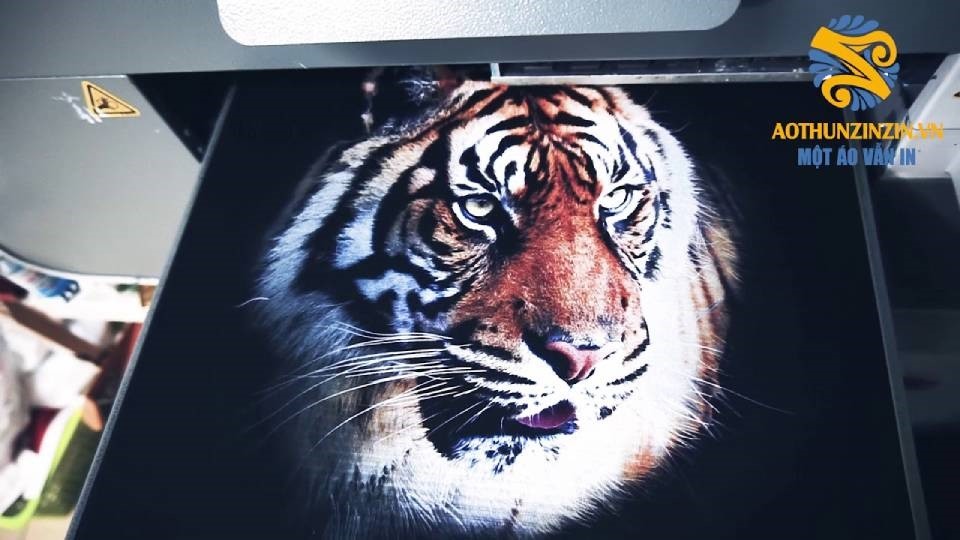 Cong Nghe In Hien Dai Cua Zinzin