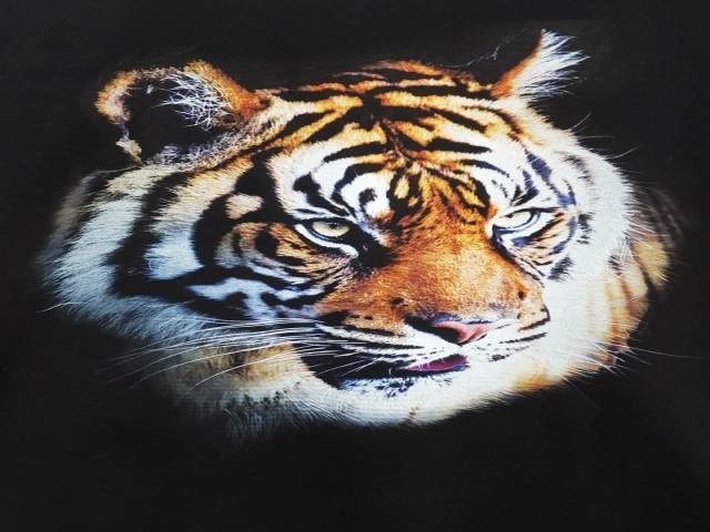 phuong-phap-in-truc-tiep Phuong Phap In Truc Tiep