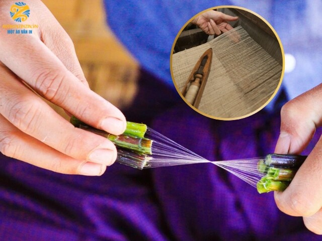 Vải Thân Thiện Môi Trường